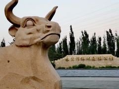 -永定河休闲森林公园