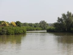 -大湾区中央湿地公园
