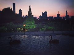 -行者书屋大堂吧 ·下午茶(南京圣和府邸酒店)