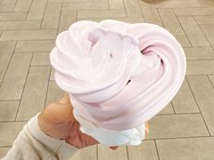 -麦当劳(南京路2店)