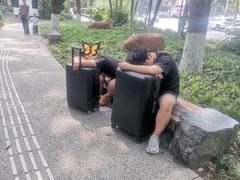 -成都市活水公园