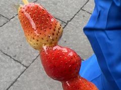 -鸣鹤古镇