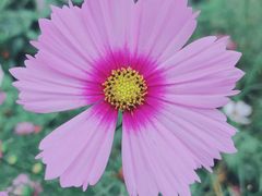 -自贡好吃客(科华店)