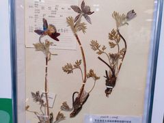 -吉林省自然博物馆