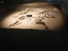 -洛阳周王城天子驾六博物馆