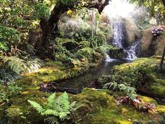 -Chom Cafe and Restaurant