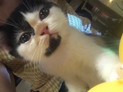 -RP酒吧·静吧·BAR