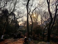 -杭州半山国家森林公园