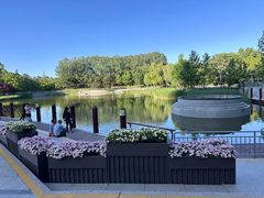 -大望京公园