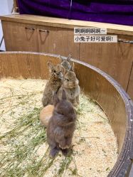 -Zoolung Zoolung动物主题公园(海信广场店)