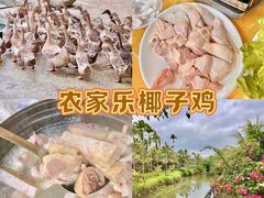 -兴隆槟榔园休闲农庄