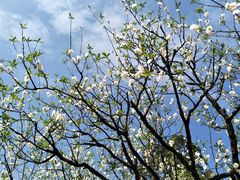 -南国桃园旅游度假区