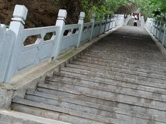 -禹州森林植物园