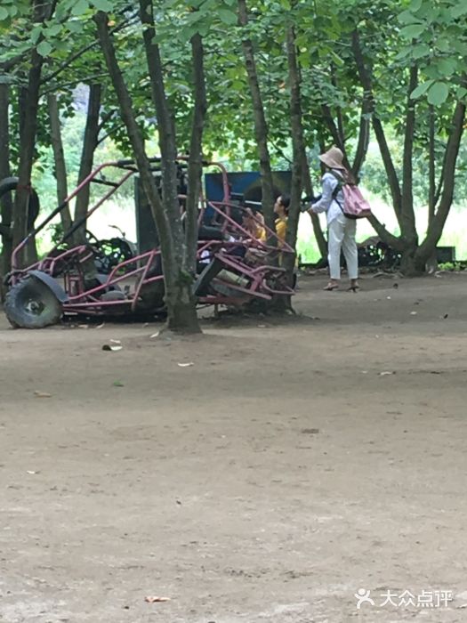 杨家寨景区图片