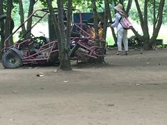 -杨家寨