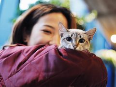 -吉丁鸟咖·异宠·寄养