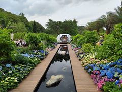 -梧桐山风景名胜区