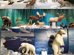 -中国湿地博物馆