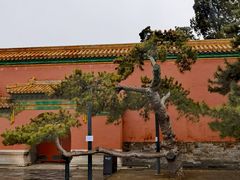-故宫钟表馆