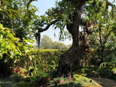 -Chom Cafe and Restaurant