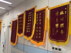 -中农国际动物医院24小时·猫科·骨科·急重症中心