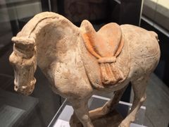 -隋唐大运河文化博物馆