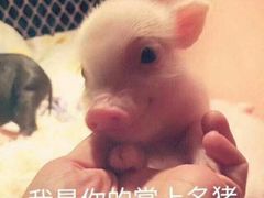 -阿香米线(大悦城店)