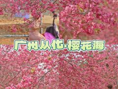 -天适樱花悠乐园