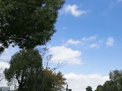 -上海宝龙美术馆