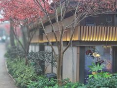 -茶颜悦色(岳麓山顶店)