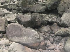 -白云源风景区