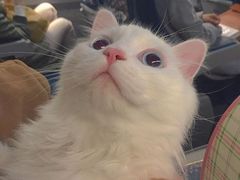 -漳州佰翔圆山酒店·圆山畔西餐厅