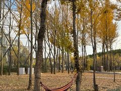 -鄂尔多斯野生动物园