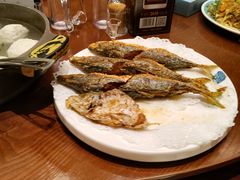 巴浪鱼-渔傅印象滩涂霞浦海鲜(井大路店)