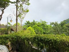-深圳东部华侨城茵特拉根酒店