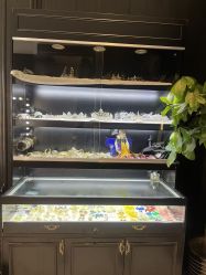 -鼎极摄影(世纪金源店)