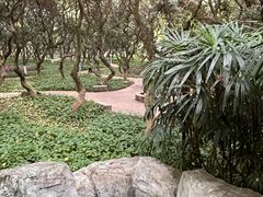 -黄埔荔枝公园