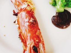 -咖啡苑·沈阳今旅酒店Hotel Jen·香格里拉集团