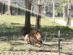 -秦皇岛野生动物园