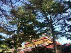 -八大关景区