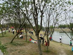 -两河城市森林公园