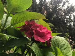 -留香花园(淮海街商业街店)
