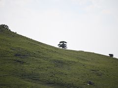 -灵山