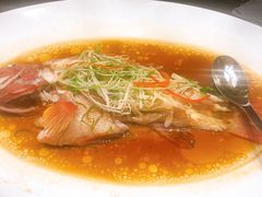 -彩丰楼·中餐厅(国家会展中心上海洲际店)