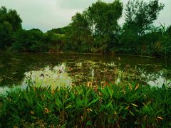 -梁鸿国家湿地公园