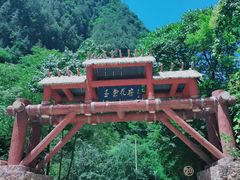 -黑河国家森林公园