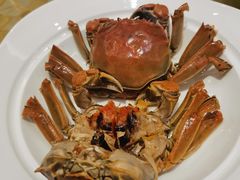 -王宝和酒家(黄浦店)