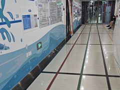 -北京科技大学-游泳馆