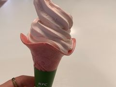 -东北熏肉大饼(大学南路店)
