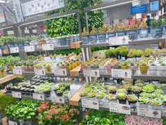 -鹿岛生活(熙地港店)